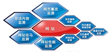 網神信息咨詢服務 數字化時代的專業(yè)導航
